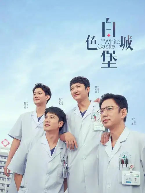 98影院古装武侠剧少年游侠传封面